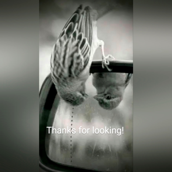 Johnny Was Workshop Nadia Embroidered White Peasant Blouse Medium NWOT - Picture 16 of 16